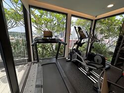 Peak Residence (D11), Condominium #595898261